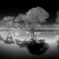 Pond Reflection - Howard Hunt